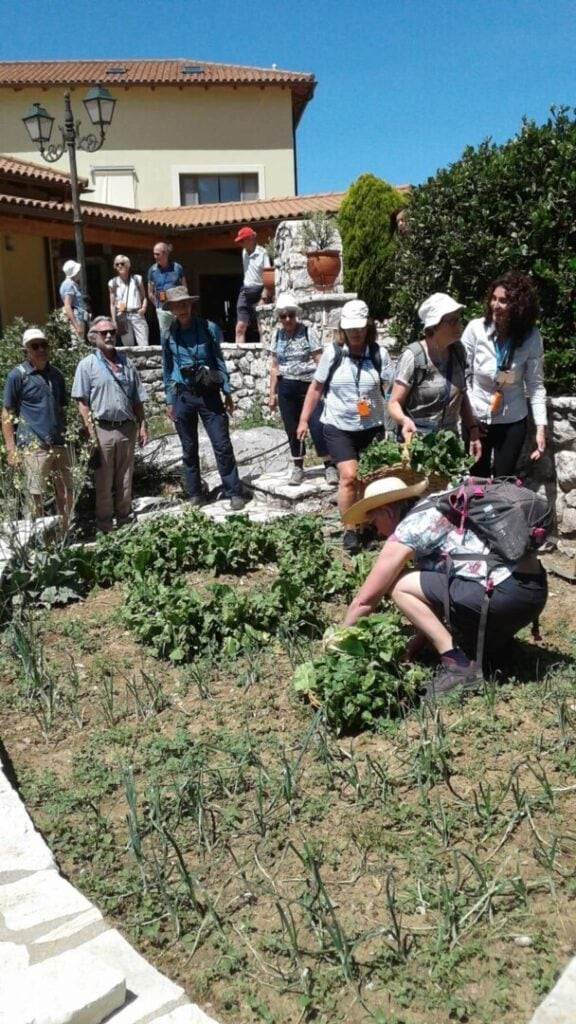 ΜΑΖΕΜΑ ΜΑΡΟΥΛΙΩΝ.jpg